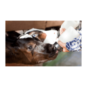 Cal Mag (Calcined Magnesite)