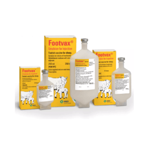 Footvax