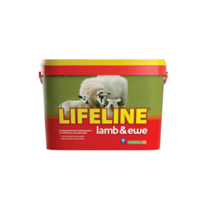 Lifeline Lamb & Ewe