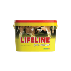 Lifeline Pre-Calver