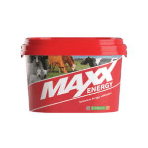 MAXX Energy