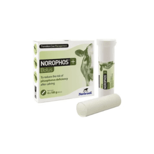 Norophos Bolus