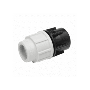 Plasson Female Adaptor BSP