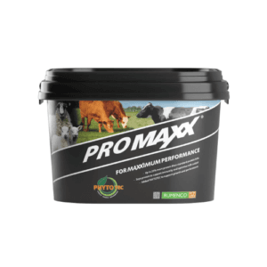 Promaxx